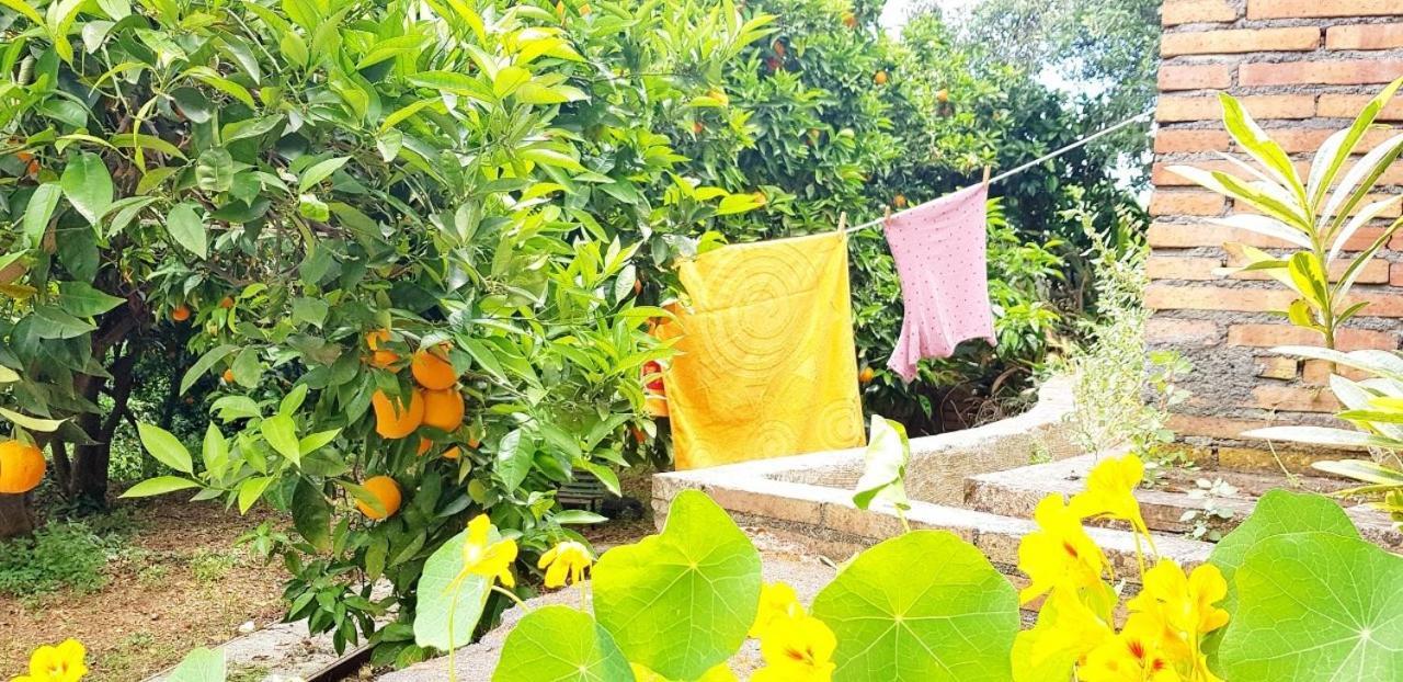 L'Aranceto Villa Acireale Bagian luar foto