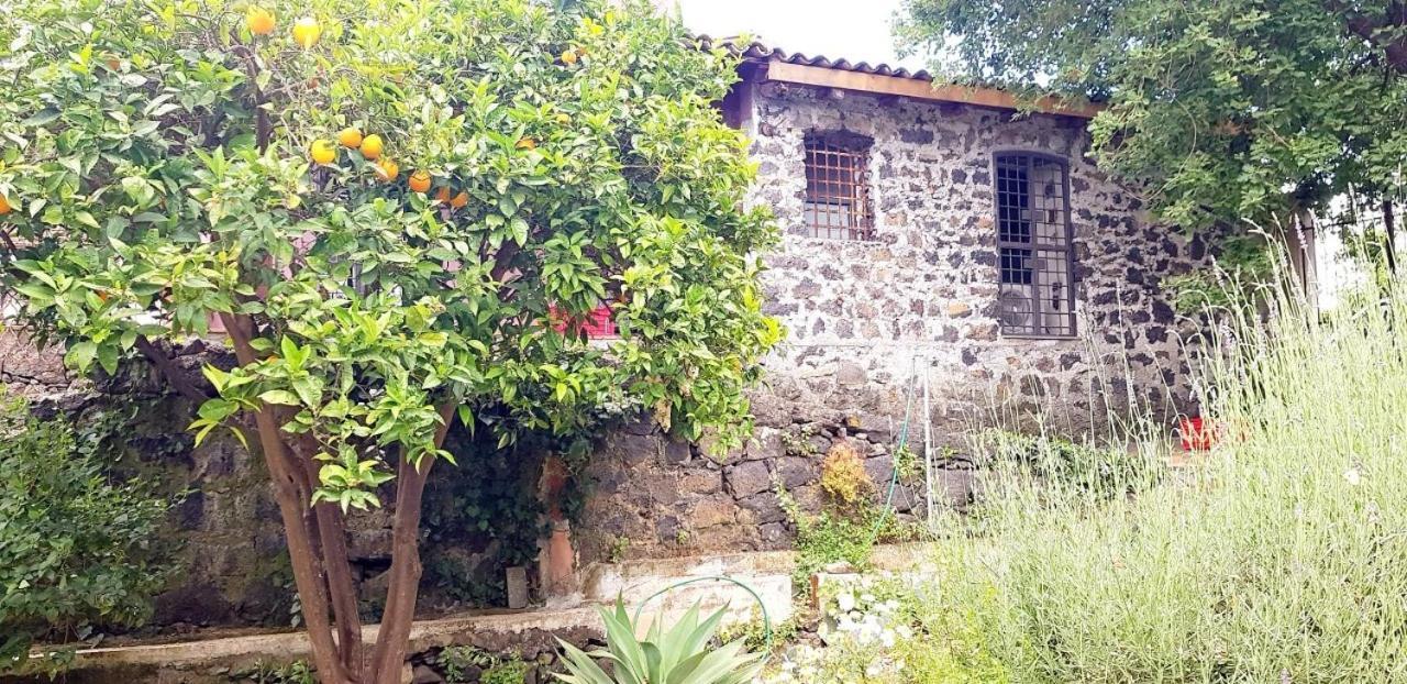 L'Aranceto Villa Acireale Bagian luar foto